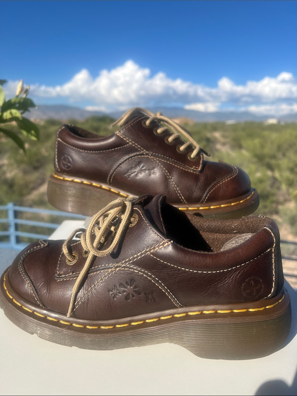 🌼 Dr. Martens Daisy Flower 12280 Brown Chunky Platform Vintage Oxfords 🌼